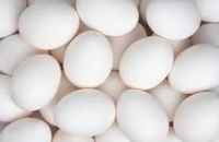 White.eggs